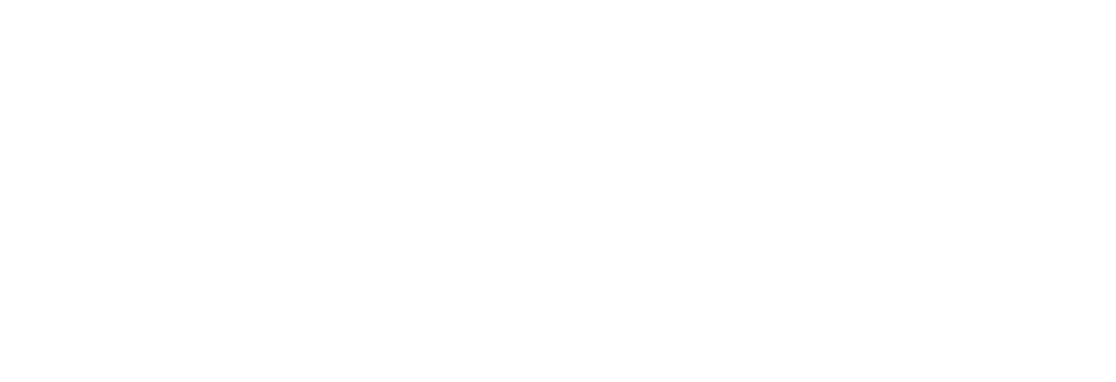 TourMagination Logo