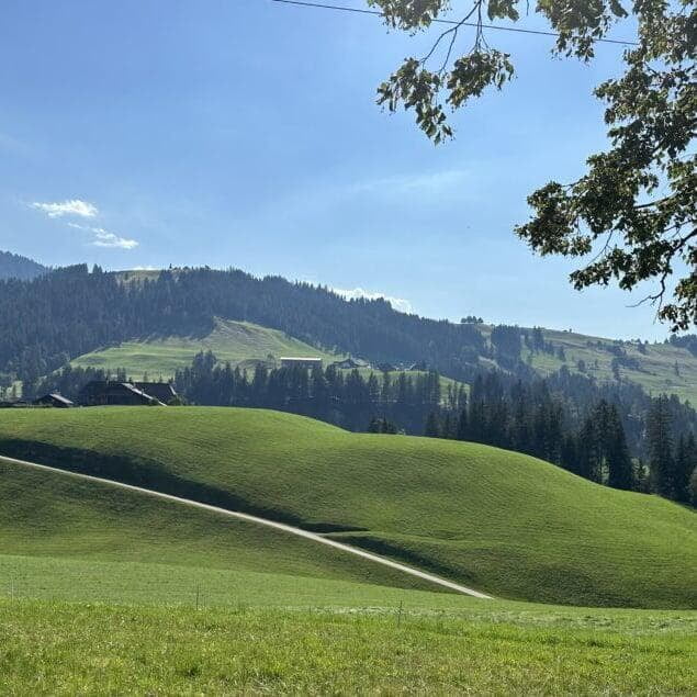 the Swiss Alps, with majestic snow-capped peaks and lush green valleys under a clear blue sky