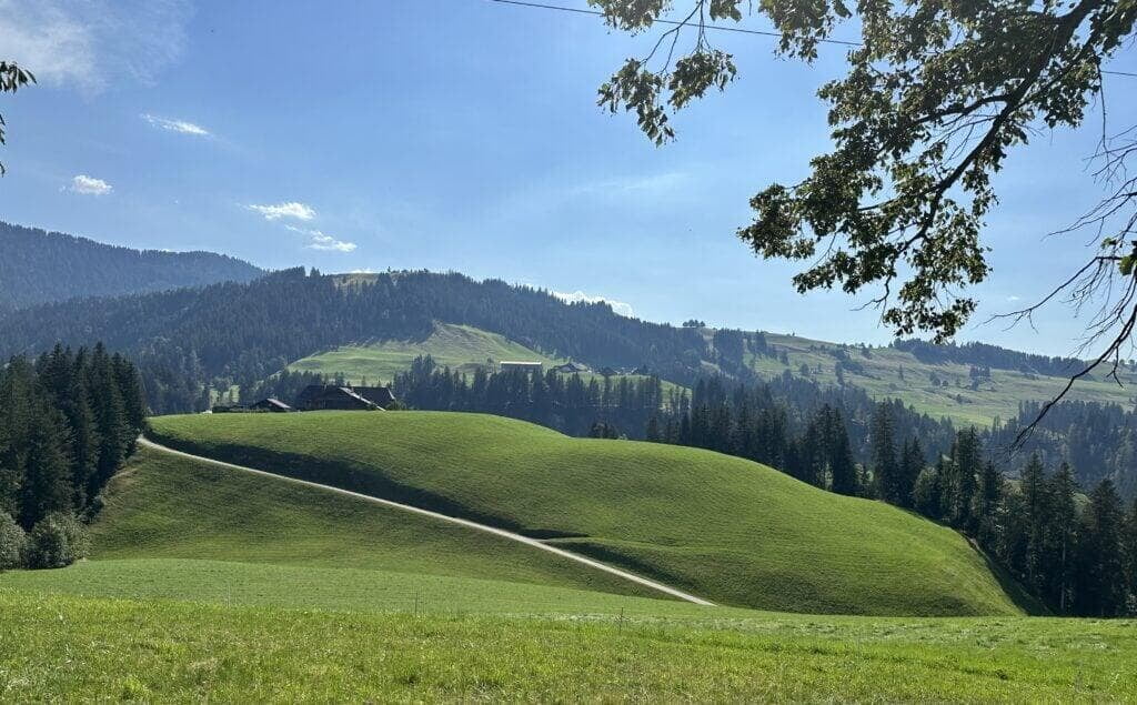 the Swiss Alps, with majestic snow-capped peaks and lush green valleys under a clear blue sky