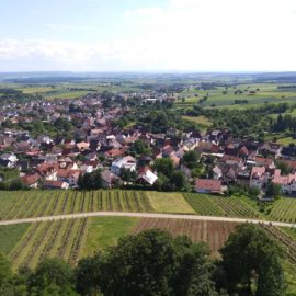 A small part of the view from the top of Steinsberg tower.